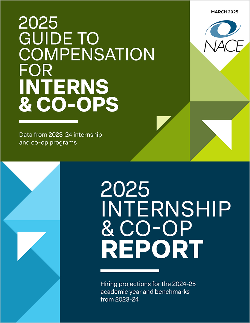 2025 Internship & Co-Op Report & Dashboard Combo